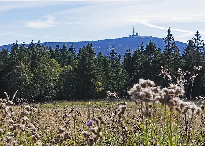 Osterbrink * Ilsenburg