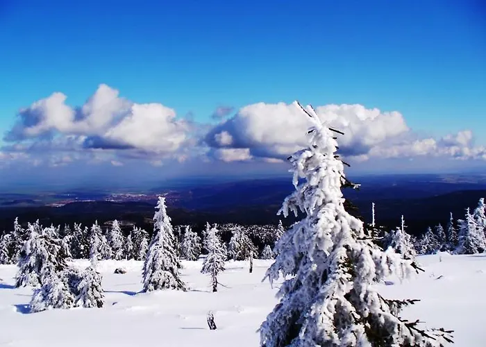 Osterbrink Lägenhet